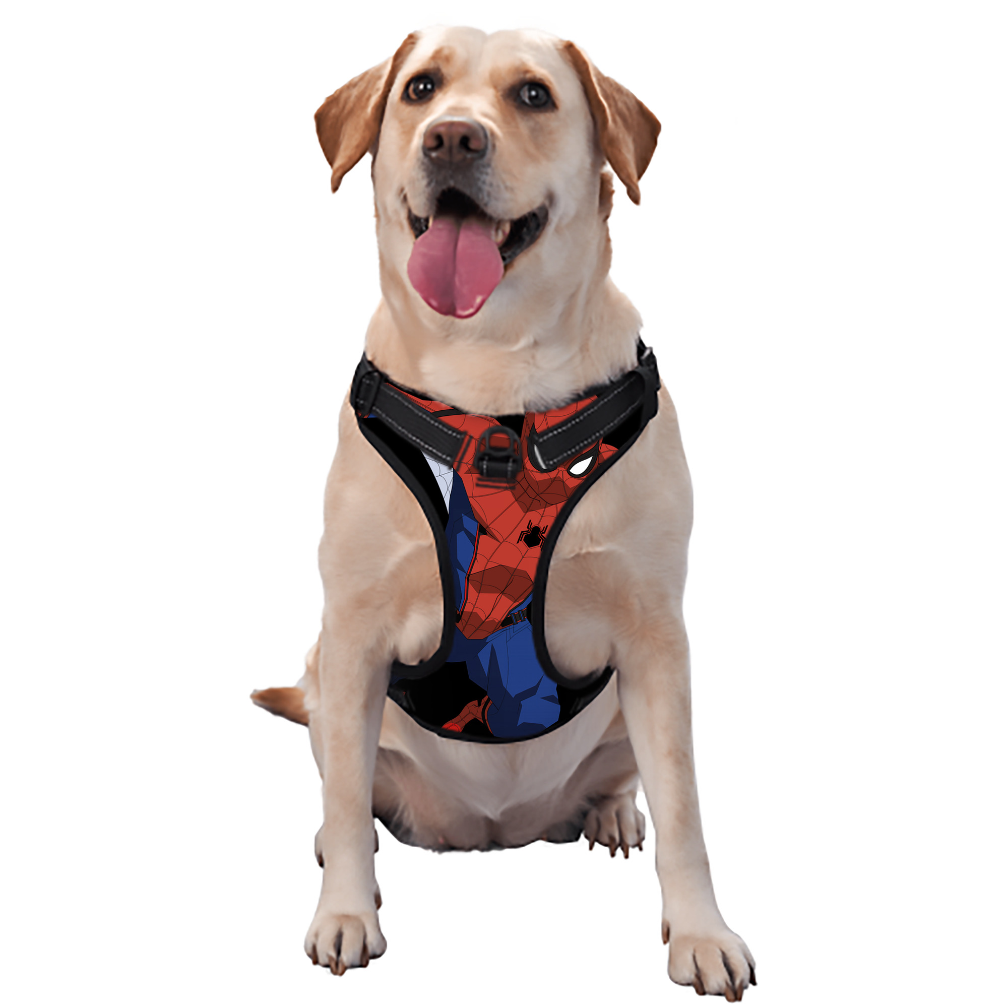 （画像用） Spider Man スパイダーマン ペット用ハーネス
